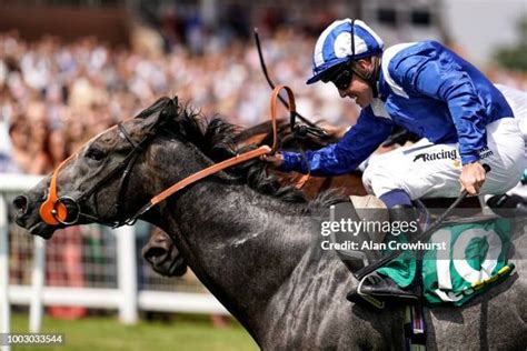 hackwood stakes